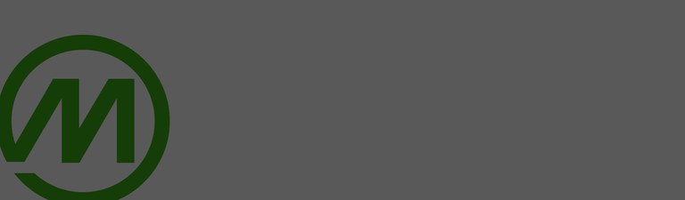 Mendes home banner lor contrast.jpg